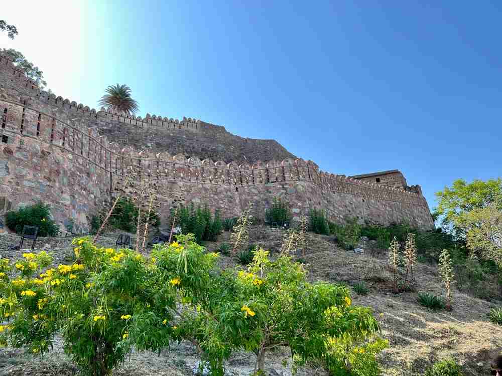 Jungle Safari Image 1