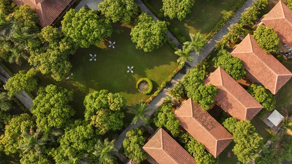 How to Choose the Right Sasan Gir Resort for Your Wildlife Holiday
